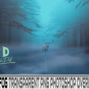 100 FOG TRANSPARENT PNGDigital Texture, Background, Backdrop, Photo, Photography, Fog, Nature, Smoke, Mist, Weather