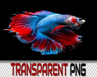 300 FISHES TRANSPARENT PNG Photoshop Overlays, Png Animals, Png Wildlife, Png Files, Photoshop Png, Png Clipart, Png Fish, Png Sea Life, Png