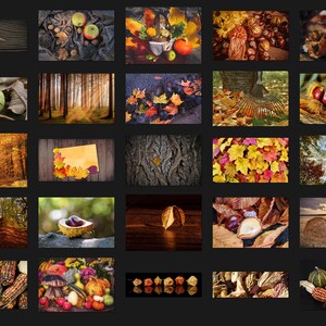 200 AUTUMN PHOTOSHOP OVERLAYS, Backgrounds, Backdrops, Digital ...