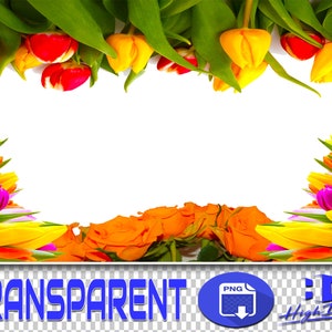 200 FLOWERS CORNERS, BORDERS Transparent Png Photoshop Overlays, Flower Png, Flower Overlays, Backgrounds, Backdrops, Png Files, Flowers