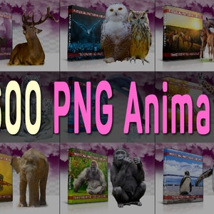 600 Transparent Png Animals Big Bundle Photoshop Overlays, Png Files, Overlays, Lion, Tiger, Horse, Giraffe, Owl, Bear, Elephant, Dolphins