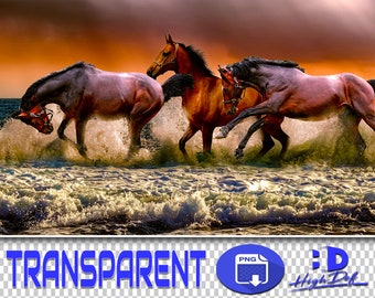 200 Horses PNG Overlays: Transparent Wildlife Graphics (Digital Download)