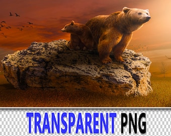 100 Bear PNG Overlays: Wildlife Photoshop Clipart (Digital Download)