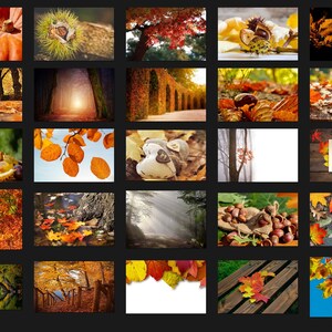 200 AUTUMN PHOTOSHOP OVERLAYS, Backgrounds, Backdrops, Digital ...