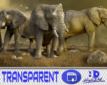 Elephant PNG Overlays: Wildlife Clipart (Digital Download)