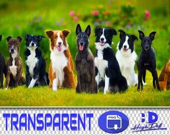 300 Dogs PNG Overlays: Transparent Puppy Clipart (Digital Download)