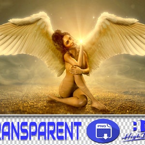 250 ANGEL WINGS TRANSPARENT Png Photoshop Overlays, Png Wings, Angel Wings Overlay, Magic, Angels, Sky, Fairytale, Fairy, Feather, Png Files