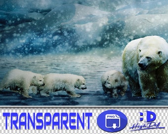 Polar Bear PNG Overlays: Transparent Wildlife Clipart (Digital Download)