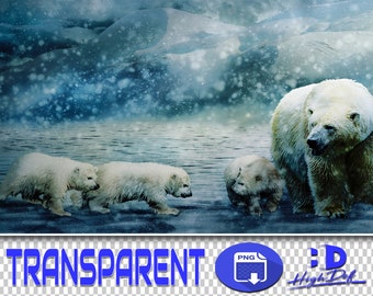 60 POLAR BEARS TRANSPARENT Png Photoshop Overlays, Png Animals, Png Wildlife, Png Files, Photoshop Png, Png Clipart, Png Bear, Polar Bear