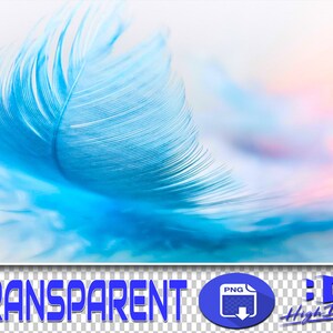 200 FEATHER TRANSPARENT PNG Photoshop Overlays, Backgrounds, Backdrops, Overlays, Transparent Png Files, Textures, Images, Photos, Png Files