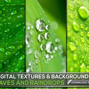 60 GREEN LEAVES TEXTURES & Backgrounds - Leaves Overlays, Leaves Backgrounds, Leaves Textures, Leaves Digital Background, Digital Backdrop