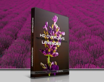 200 superposiciones fotográficas lavanda: texturas y fondos HD (descarga digital)