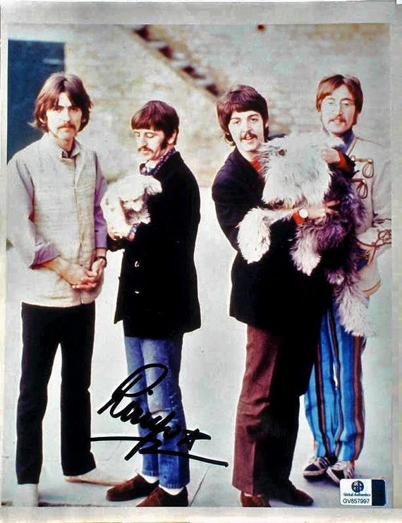 ポール・マッカートニー・リンゴ・スター直筆 サイン入り写真 リンゴ・スター直筆サイン入り写真 - ビートルズ - ポール