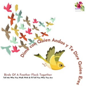 May include: A graphic illustration featuring a large yellow bird in flight, surrounded by a flock of smaller multicolored birds in shades of red, brown, yellow, and teal. The text reads: Dime con Quien Andas y Te Dire Quien Eres, Birds Of A Feather Flock Together, Tell Me Who You Walk With & I'll Tell You Who You Are.