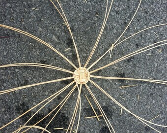 Cherokee Basket Start: Pre-made #2 Reed