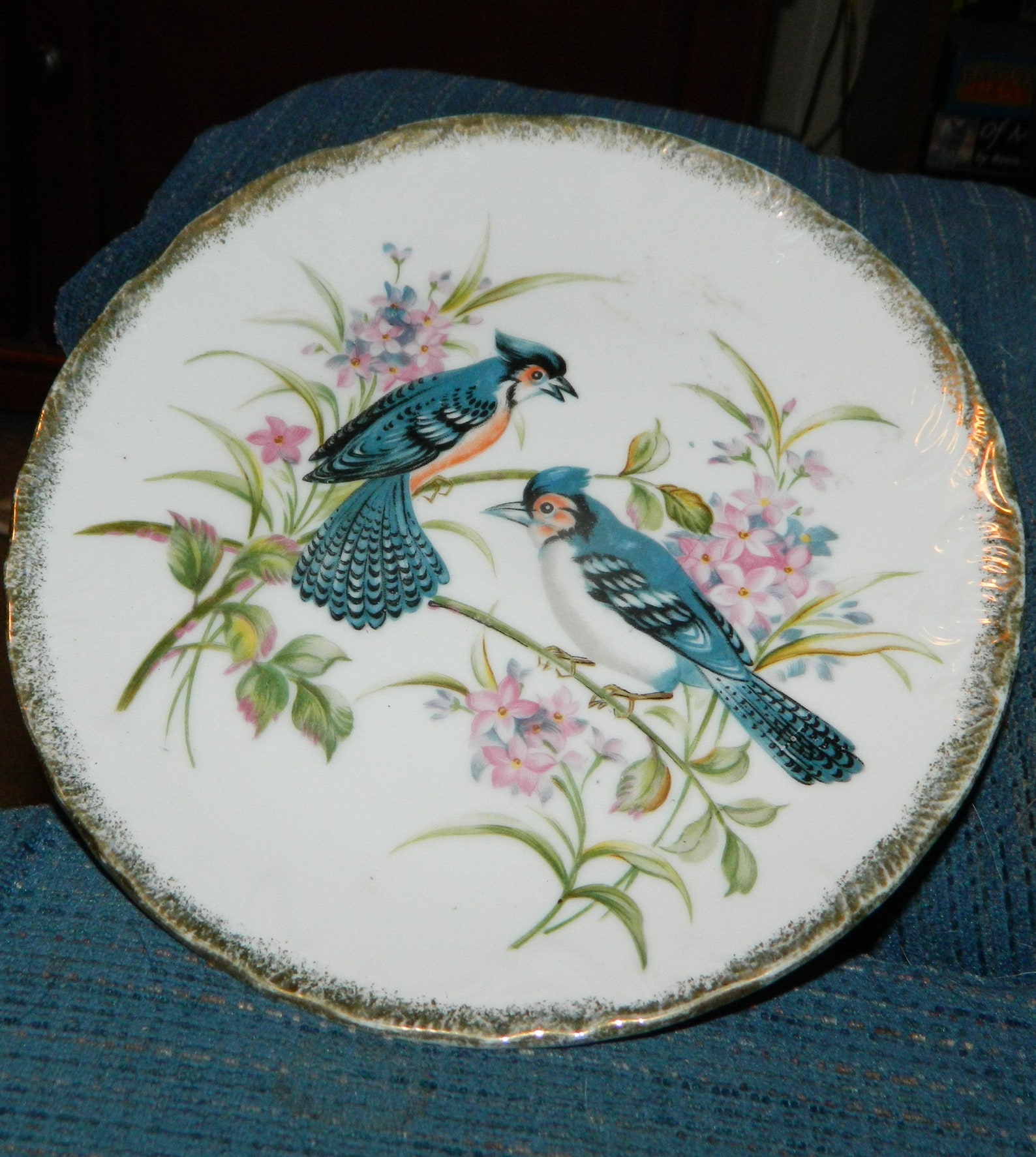 Vintage Blue Jay Decor Plate From Norleans Japan. A Glossy Etsy