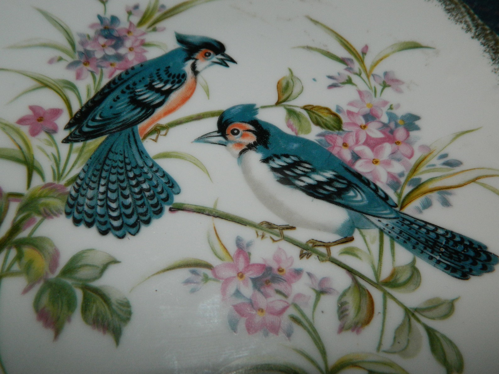 Vintage Blue Jay Decor Plate From Norleans Japan. A Glossy Etsy
