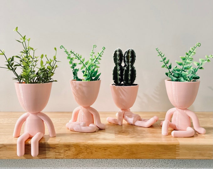 Baby Pink Classic Mini Plant Buddy | Plant Holder | Unique Gift | Home Decor | Set of 4