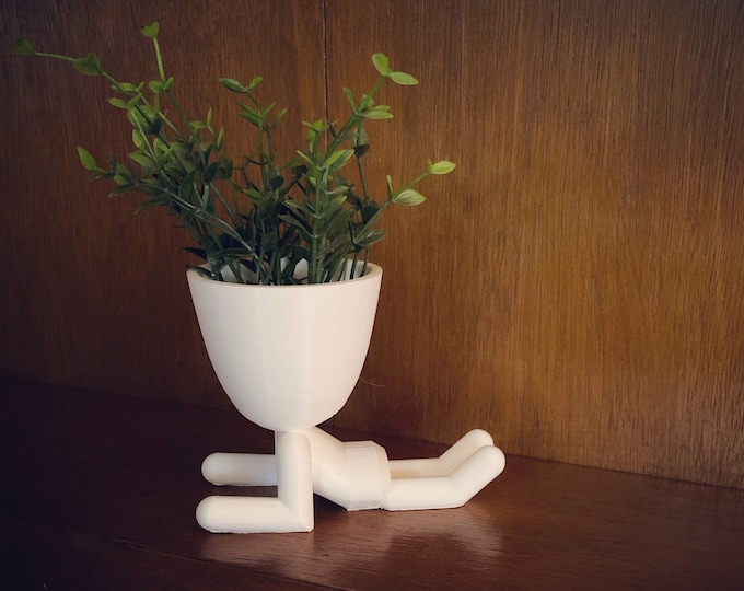 Laying Planter | Robert Plant | Decorative Planter |Cactus Planter