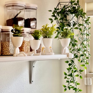 Classic Mini Plant Buddy | Plant Holder | Unique Gift | Home Decor
