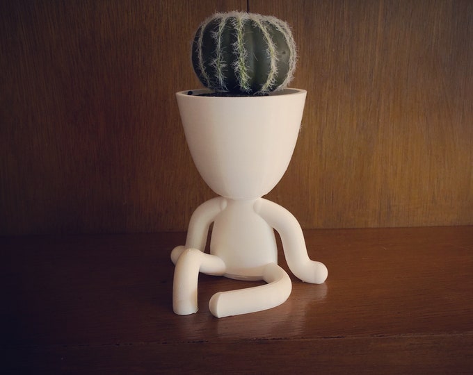 Resting Planter | Robert Plant | Decorative Planter  | Cactus Planter