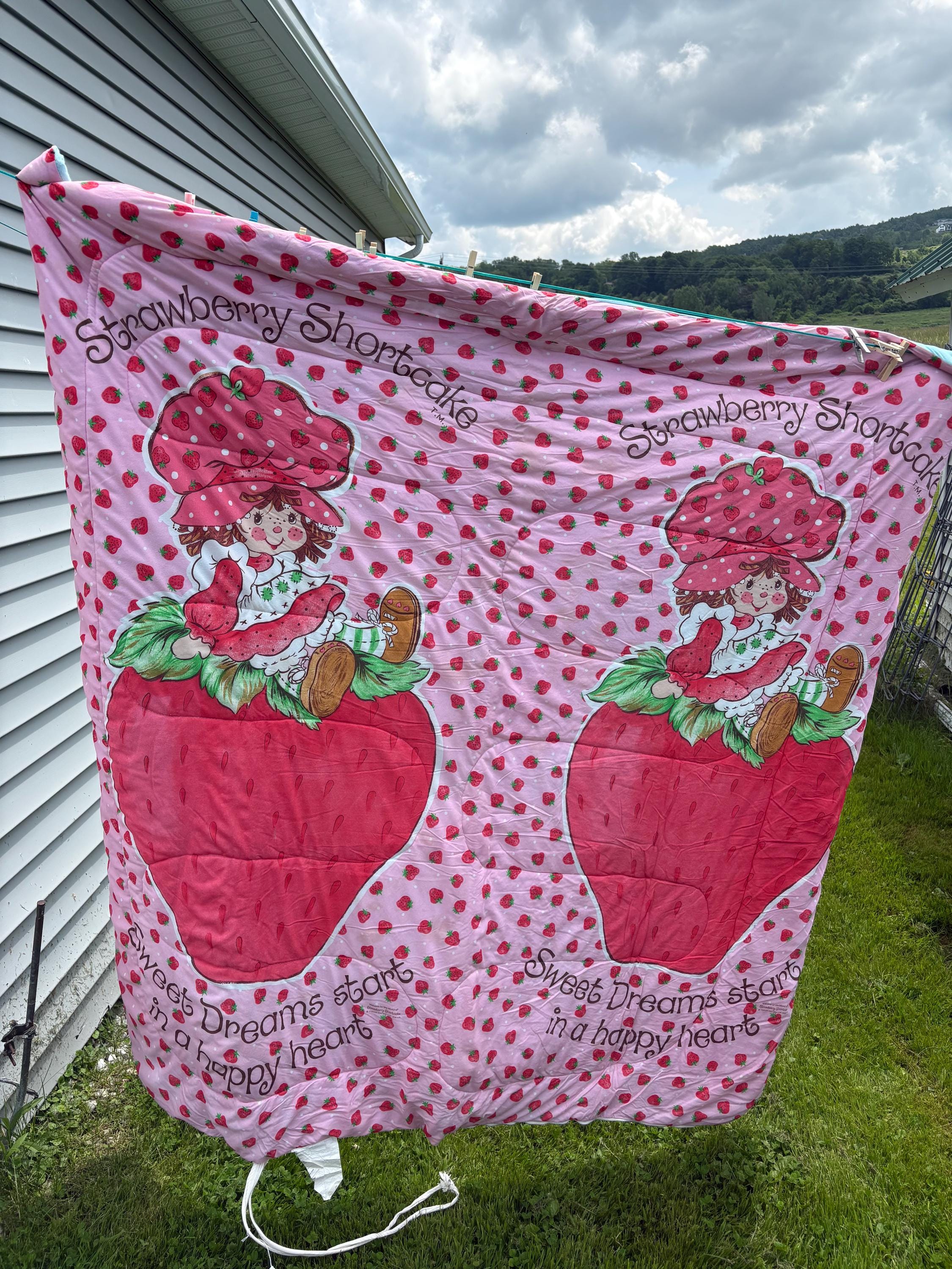Vintage Strawberry Shortcake Sleeping Bag American Greetings Corp