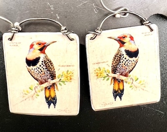 Northern Flicker Art Earrings Bird Art Earrings Unique