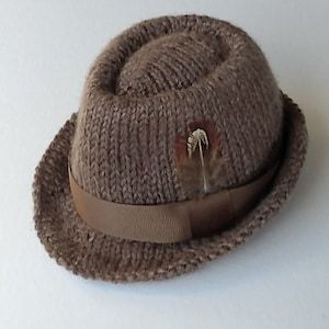 Peut inclure: Un chapeau fedora en tricot marron avec un ruban marron et une petite plume.