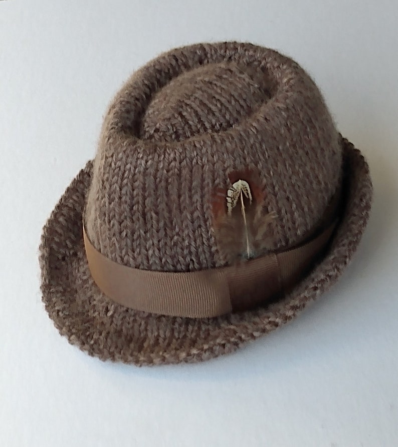 Peut inclure: Un chapeau fedora en tricot marron avec un ruban marron et une petite plume.