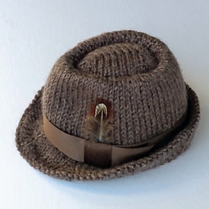 Peut inclure: Un chapeau fedora en tricot marron avec un ruban marron et une petite plume.