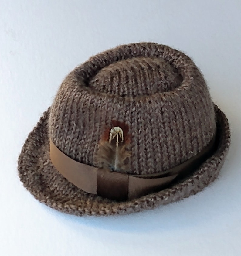 Peut inclure: Un chapeau fedora en tricot marron avec un ruban marron et une petite plume.