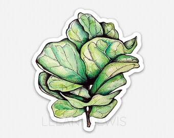 Watercolor Fiddle Fig Leaf Tree Vinyl Sticker 2.73″ x 3″ | Die Cut Stickers | Waterproof Stickers | Art Decals | Flower Plant Laptop Decal