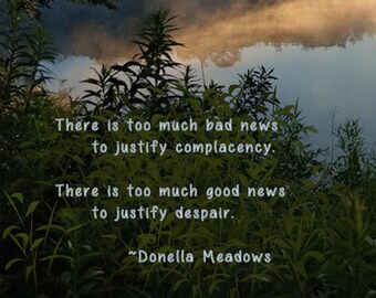 May include: A quote by Donella Meadows about the importance of perspective: "There is too much bad news to justify complacency. There is too much good news to justify despair."