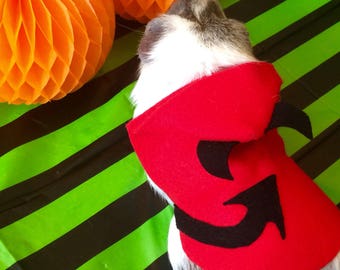 Guinea pig costume for Halloween - Devil costume for small pet