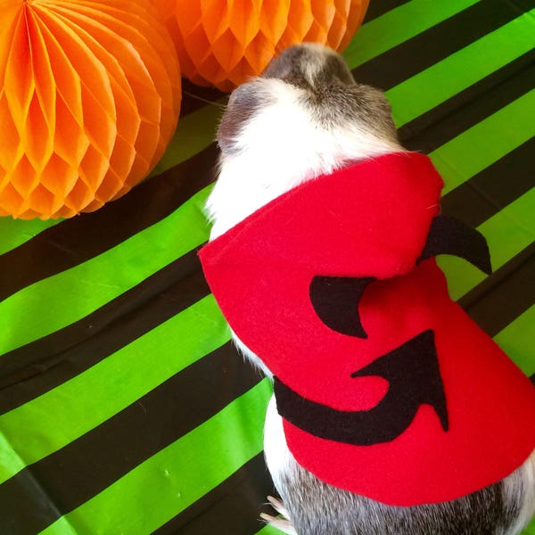 Guinea pig costume for Halloween - Devil costume for small pet