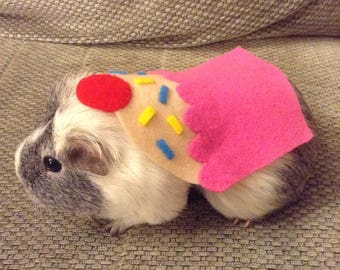 Guinea pig costume. Cupcake small pet costume. Handmade cute unique