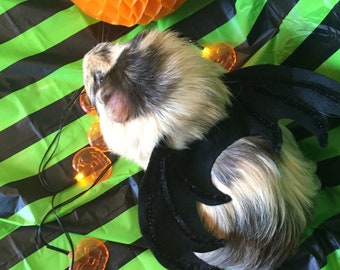 Guinea pig costume- Halloween bat wings costume for small pet