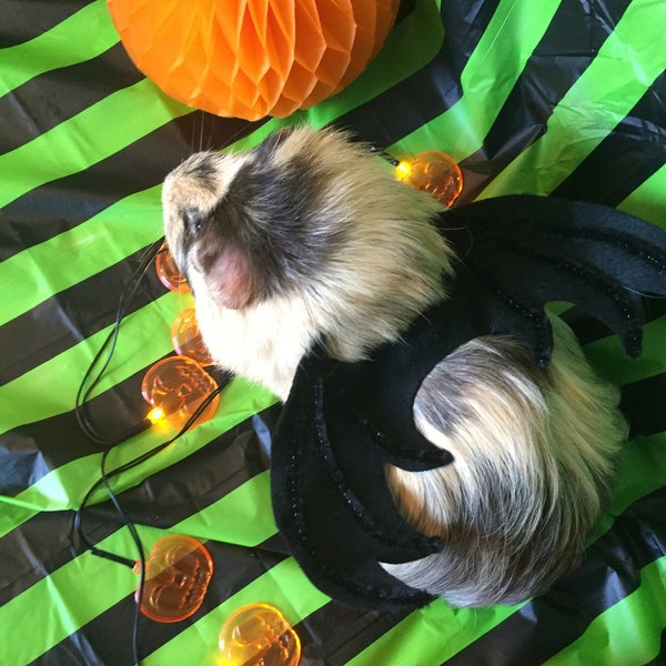 Disfraz de conejillo de indias - Disfraz de alas de murciélago de Halloween para mascota pequeña