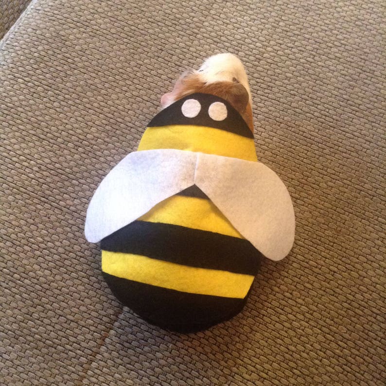 Guinea pig costume bumble bee costume for small pet. Cute Etsy