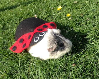 Guinea pig costume- ladybird/ladybug costume for small pet. Cute unique handmade. Guinea pig costume accessories clothing