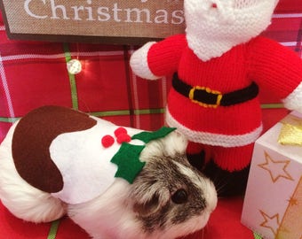 Christmas Guinea Pig Costume- Christmas Pudding. Small pet costume. Cute, Unique and Handmade Christmas Gift