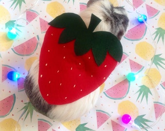 Guinea pig costume, strawberry. Small pet costume. Cute unique handmade