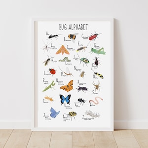 Bug Alphabet Print, ABC Poster, Children's Print, Wall Decor, Nursery, Insects, A-Z, Nature, Colourful Wall Art, Educational Poster image 1