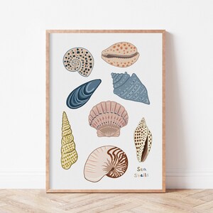 Sea Shells Print, Shells Poster, Beach Art, Ocean Themed Poster, Muted Tones, Beach Shells, Patterned Shells, By The Sea, Seaside, Summer