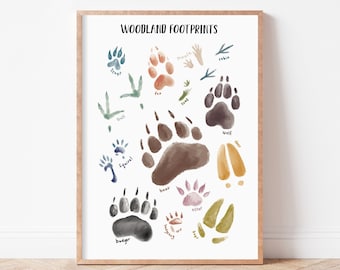 Animal Footprint Poster, Nature Decor, Woodland Themed Nursery Print, Woodland Theme, Animal Footprints, Educational Poster, Footprint Chart