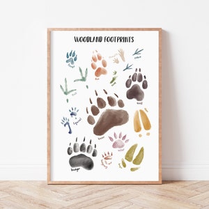 Tier-Fußabdruck Poster, Naturdekor, Wald-Kindergarten-Druck, Wald-Thema, Tier-Fußabdrücke, Lernposter, Fußabdruck-Diagramm