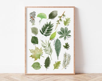 Green Leaf Poster, Nature Wall Decor, Woodland Themed Nursery Print, Woodland Theme, Tree Leaves, Educational Poster, Leaf Chart