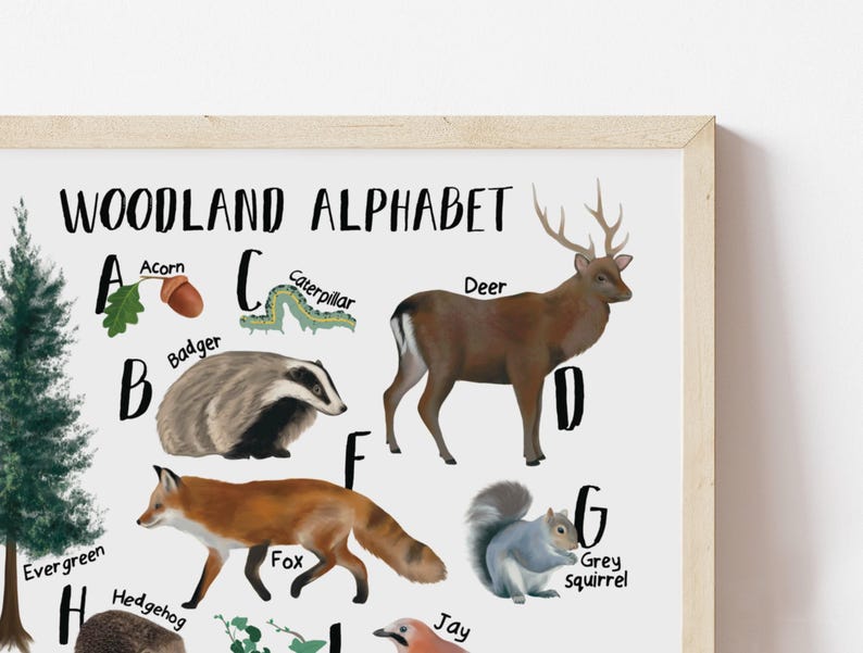Woodland Alphabet Poster, Nursery Wall Art, Educational ABC Print - Etsy UK