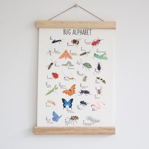 Käfer Alphabet Print, ABC Poster, Kinder Poster, Wanddeko, Kinderzimmer, Insekten, A-Z, Natur, Bunte Wandkunst, Lernposter Bild 5