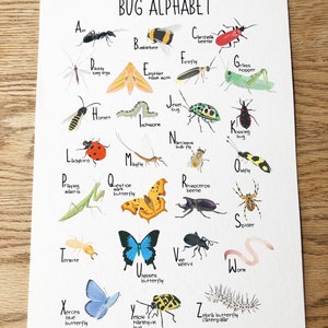 Bug Alphabet Print, ABC Poster, Children's Print, Wall Decor, Nursery, Insects, A-Z, Nature, Colourful Wall Art, Educational Poster image 4